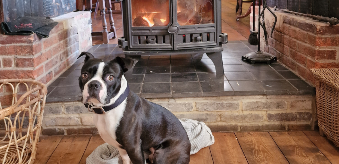 Dog sat in front of wood burner