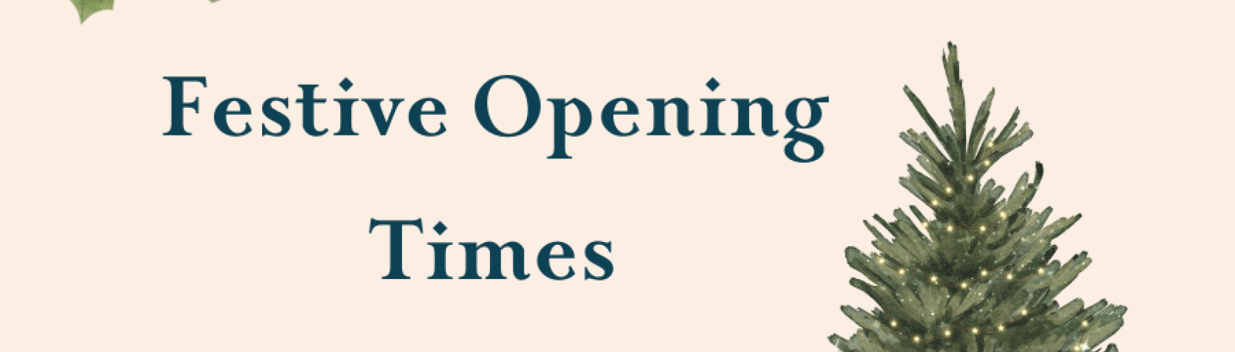 The-Duke-festive-opening-times-Blog-Header.png